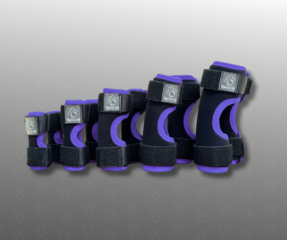 Set of purple dog carpal wraps with brand logo on a gray background