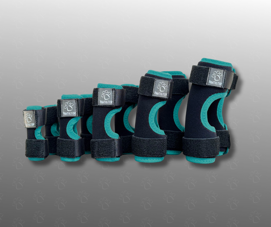 Set of dog carpal wraps with brand logo on a gray background