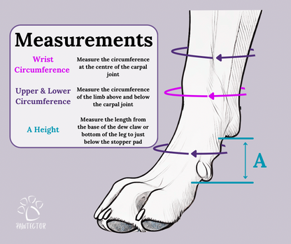 LIMITED EDITION - CarpiFlex Sport Wraps ORANGE
