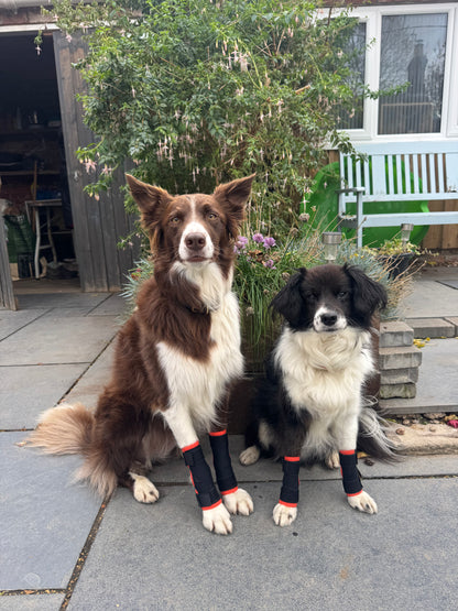 LIMITED EDITION - CarpiFlex Sport Wraps ORANGE