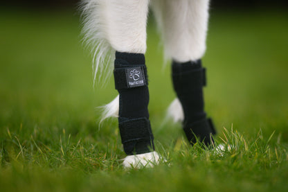 Black Pawtector CarpiFlex wrist wrap on dog’s front leg for joint support, photographed on grass